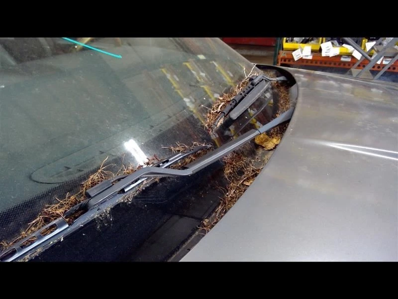 Правый рычаг стеклоочистителя 2004 2005 2006 2007 XJ8 1396577 - Изображение 1 из 4