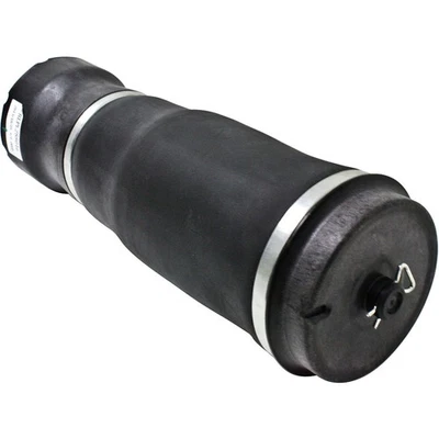 Muelle neumático para Land Rover Range Rover 2003-2012 trasero izquierdo o derecho negro Foto 1 de 4