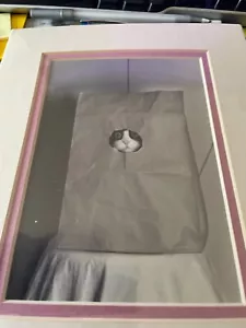 Cat in Sack Looking Out of Circle 10” by 8” NEW in Plastic - Picture 1 of 1