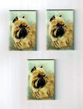 New Brussels Griffon Dog Magnet Set 3 Magnets By Ruth Maystead Mfr #Bgr-1