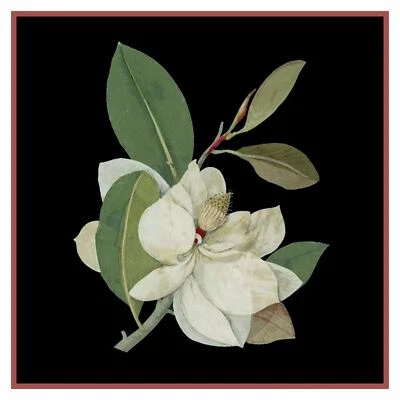 Magnolia Blossom Flowers inspired Mary Delany Counted Cross Stitch Pattern - Image 1 of 4
