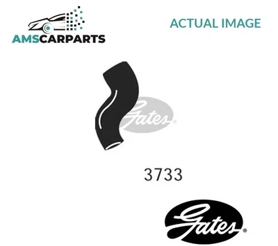 RADIATOR HOSE LOWER 3733 GATES NEW OE REPLACEMENT - Image 1 of 4