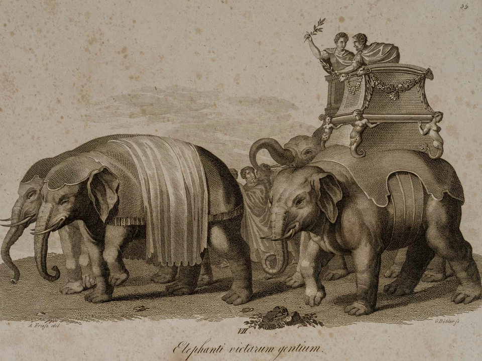 DÖBLER (*1788) nach Unbekannt (19.Jhd), Elephanti victarum gentium,  1819, KSt. - Bild 1 von 4