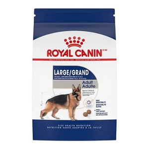 Royal Canin Large Breed Adult Dry Dog Food 30 Pound Dog Nutrition for Joints - Picture 1 of 10