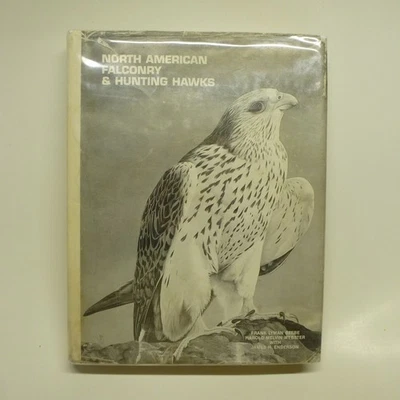 Vtg North American Falconry & Hunting Hawks Beebe Webster HC 1985 Anniversary Foto 1 de 4