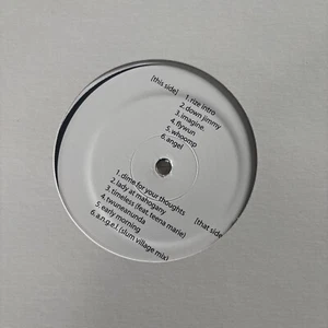 Dwele RIZE 12" PROMO 500 MADE J DILLA SLUM VILLAGE RARE HIP HOP - Imagen 1 de 2