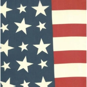 $6 Per Yard Moda FLAG BUNTING Patriotic Stars & Stripes 19" W Hemmed Edge - Picture 1 of 4