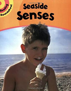 Reading Roundabout : Seaside Senses Paperback Paul Humphrey