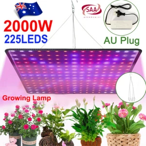 2000W 225 LED Grow Light Hydroponic Kits Growing Lamp Plant Flower Veg Indoor AU - Picture 1 of 8