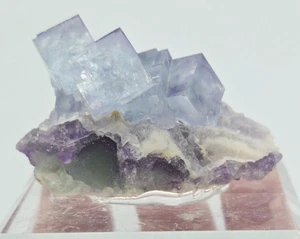 +++ FLUORITE BISAGE, PUY SAINT GULMIER, RIOM, FRANCE +++ - Picture 1 of 7