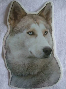 GRAND AUTOCOLLANT  - motif chien  Tête HUSKY  N° 3 - Foto 1 di 1