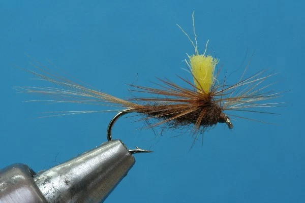 Braune Parachute - Bild 1 von 1