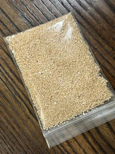 Japan Star Sand Okinawa Ishigaki Island Star Sand Sample 30g 1oz - Picture 1 of 3