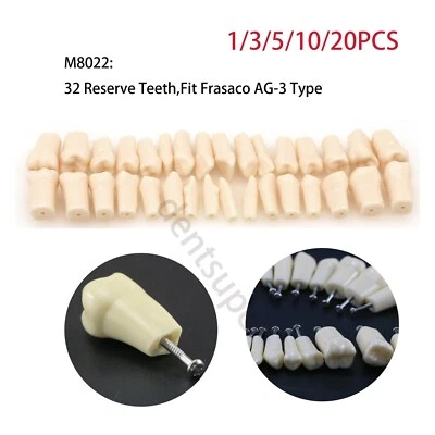 AG3 Type Dental Typodont Replacement 32PCS Screw-in Teeth Model Frasaco M8022 - Изображение 1 из 4