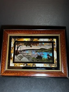 Brasilianische irisierende Schmetterlingsflügelkunst umgekehrt bemalt Wandkunst siehe Beschreibung - Bild 1 von 22