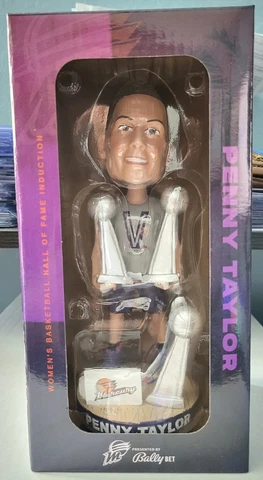 Penny Taylor WNBA Phoenix Mercury HOF Bobblehead Brand New in Box 2022 Cover