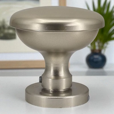 Bouton de porte fixe en aluminium Poignée exterieure ronde champagne Bricard - Photo 1/4