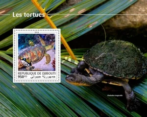 Turtles MNH Stamps 2018 Djibouti S/S - Picture 1 of 1