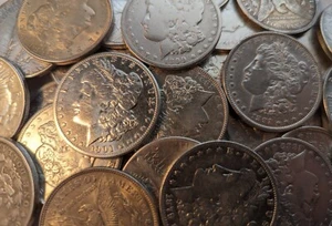 Lote de 4 monedas de plata Morgan 1878-1935 en muy buen estado - Imagen 1 de 5