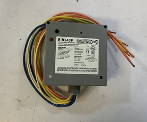 Dispositivos funcionales RIB RIB243P-E1D - Imagen 1 de 4