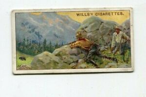 1914 W.D. & H.O. CIGARETTES WILLS OUTRE-MER DOMINIONS #26 CHASSE À L'OURS CANADA