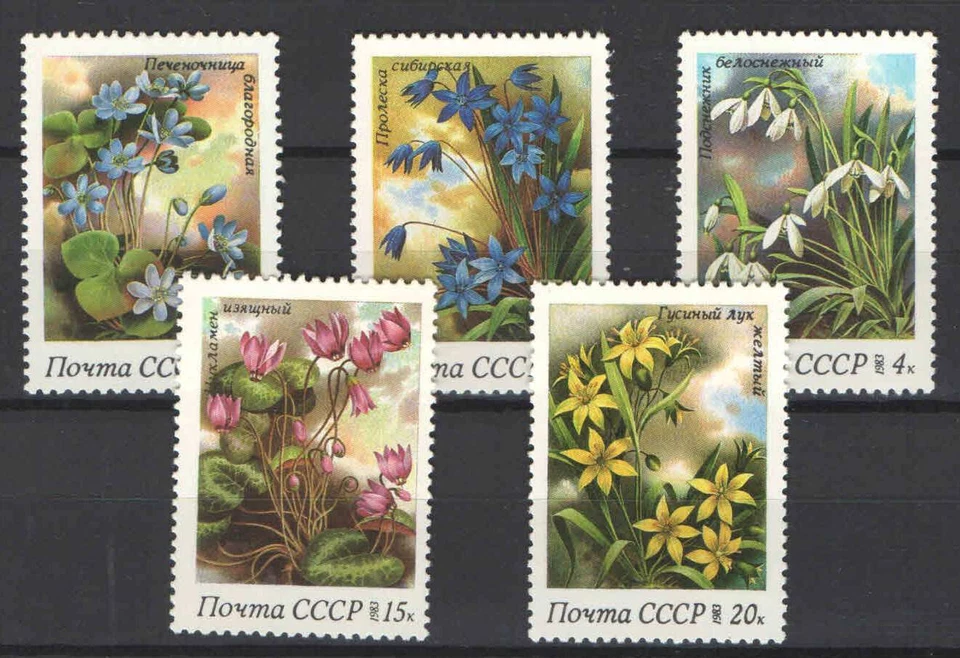 USSR / Soviet Union 1983. Flowers nice set MNH (**) - Image 1 of 1