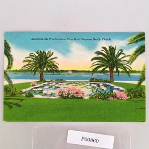 Beautiful Lily Pond River Front Park Daytona Beach Florida 1940s Linen Postcard - Picture 1 of 2