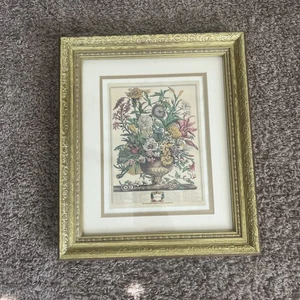 Vintage Robert Furber 12 Monate Blume September 15x13 Gold Wandrahmen 8x10 Druck - Bild 1 von 6