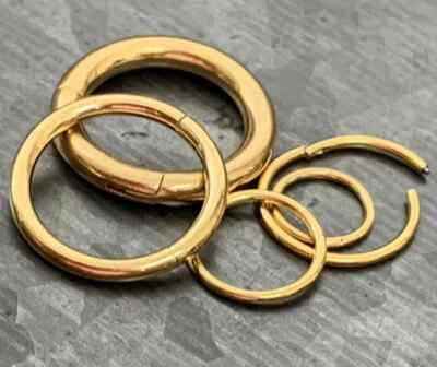 1pc Hinged Segment Ring Septum Clicker Hoop PVD over 316L Surgical Steel  - Image 1 of 3