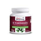 L-CARNOSIN 500 mg Kapseln 60 St PZN 10198262