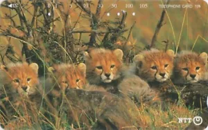 Télécarte JAPON - ANIMAL Félin - GUEPARD - CHEETAH Babies Feline JAPAN phonecard - Imagen 1 de 1