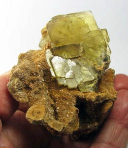 BARYT GOLDENE TRANSLUZENZKRISTALLE auf SANDSTEINMATRIX - PERU....CERRO WAYRIHUM - Bild 1 von 12