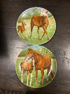 Vintage Collectible Plates Horses Kaiser West Germany Golden Crown E&R - Picture 1 of 6
