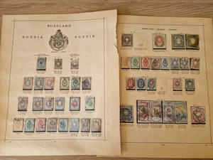 Russia Stamp Accumulation on Ancient Schaubek Pages - Picture 1 of 4