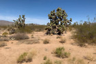 RURAL 1 ACRE LOT IN NW ARIZONA! CASH SALE! 2.5 HOURS TO VEGAS! NEAR LAKE MEAD!