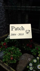 Large Engraved Memorial Stake Grave Marker pet memorial Personalised Plaque - Picture 1 of 3