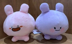 Aasamimi-chan CONJUNTO de 2 Muñecos de Peluche Nesoberi 20cm Banprest Asammimi Anemi - Imagen 1 de 5