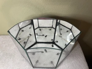 Terrarium Spiegelglas länglich Sechseck Pflanzgefäß - Bild 1 von 8