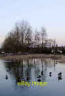 Photo 6x4 The village pond, Tylers Green (2) Beacon Hill Taken a little a c2012