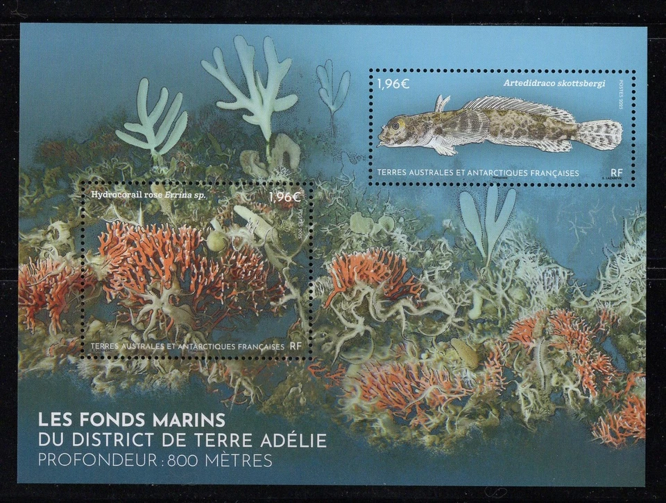 FSAT / TAAF NEW 2025 MINT NH (LES FONDS MARINS, FISH) - Image 1 of 1