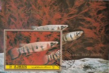 Bf. Ajman 1972 Coral reef Fishes Pesci dei Coralli Perf.