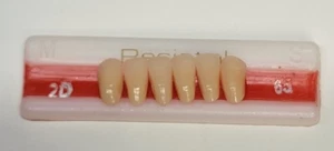 2D - Farbe 65 untere Anterioren Dental Kunststoff gekreuzte Zähne - Bild 1 von 4