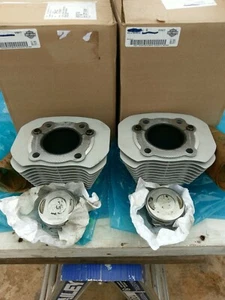 Harley Davidson Sportster 883 XL 2011 Barrels & Pistons - Picture 1 of 6