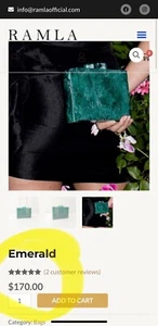 RAMLA Handmade EMERALD Clutch w/ Gold Chain NEW - Picture 1 of 5