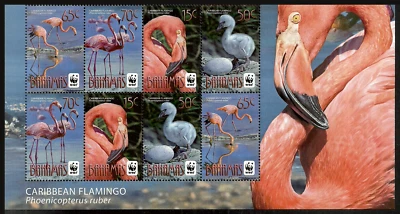 БАГАМСКИЕ ОСТРОВА 2012 ПТИЦЫ ФЛАМИНГО ФЛАМИНГО WWF ДИКАЯ ПРИРОДА РАЗЛИЧНЫЕ НАБОРЫ И ЛИСТЫ КАК НОВЫЕ БЕЗ НАКЛЕЕК И СЛЕДОВ - Изображение 1 из 4