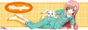 poster Hayate the Combat Butler anime Hinagiku Katsura - Picture 1 of 3