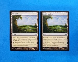 1x Vivid Meadow Modern Masters 2013 Mtg Magic Gathering Card Land Mana 229 - Picture 1 of 2