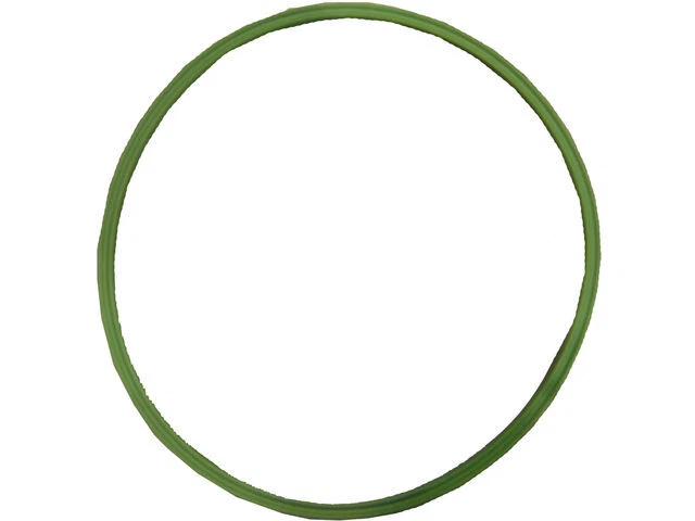 Fuel Tank Sending Unit O-Ring For 2003-2005 Pontiac Montana TH388WM - Image 1 of 1