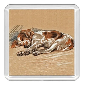 Welsh Springer Spaniel Dog Acrylic Coaster Novelty Drink Cup Mat Great Gift - Foto 1 di 1
