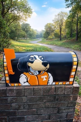 Buzón mediano Vols personalizado, naranja y blanco Ole Smokey Tennessee Foto 1 de 2